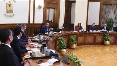 مجلس المحافظين يستعرض الموقف التنفيذي للمشروع القومي لتنمية الأسرة المصرية