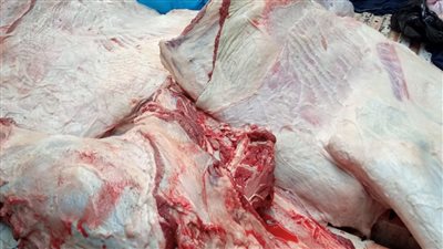 التحفظ على 200 كيلو لحوم غير صالحة للاستهلاك الآدمي بالبحيرة