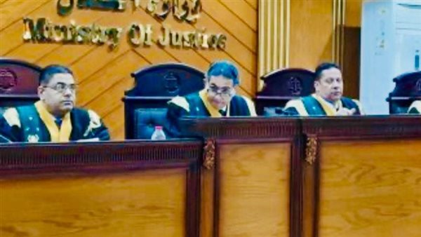 المستشار سامح عبد