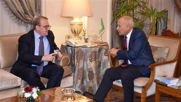 أبوالغيط ونائب وزير