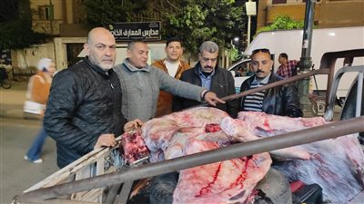 بيدبح حيوانات مريضة.. ضبط 200 كيلو لحوم داخل منزل جزار بالمنوفية