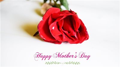 عبارات تهنئة ست الحبايب في عيد الأم 2023.. كلمات رقيقة ومؤثرة