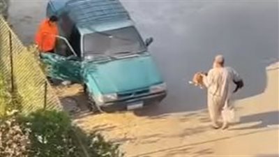 بعد انتشار فيديو جمع كلاب الشوارع.. ناشطة حقوق حيوان: هيتعرض للمساءلة القانونية.. لازم إذن من الهيئة البيطرية