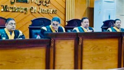 السجن المشدد 3 سنوات لمتهم في إعادة محاكمته بخلية اللجان النوعية