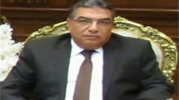 محافظ الدقهلية 