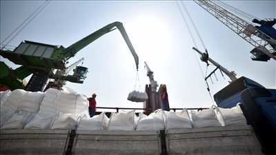 وزير التجارة يحظر تصدير السكر بأنواعه لمدة 3 أشهر