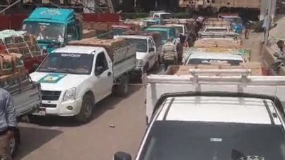 توزيع 3 آلاف كرتونة مواد غذائية على الأسر الأكثر احتياجا في الوراق| بث مباشر