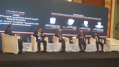 تنظيم سوق الغاز: نسعى لكسر الاحتكار لصالح بعض شركات القطاع الخاص 