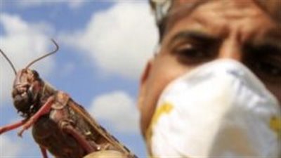 بسبب القراد.. رجل أمريكي يصاب برد فعل تحسسي قاتل للحوم الشواء