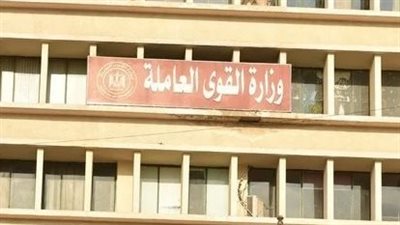 بـ7 محافظات.. القوى العاملة تعلن عن 295 فرصة عمل بإحدى الشركات الكبرى