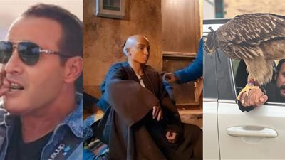 من صقر العوضي وثعبان السقا لـ صلعة روجينا.. تريندات مسلسلات وبرامج رمضان 2023 قبل ساعات من بدئه