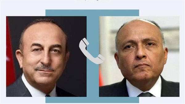 وزير الخارجية ونظيره