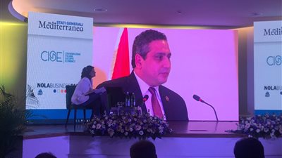 برلماني: إيطاليا شريك اقتصادي مهم لمصر.. ونرحب بالاستثمارات الإيطالية