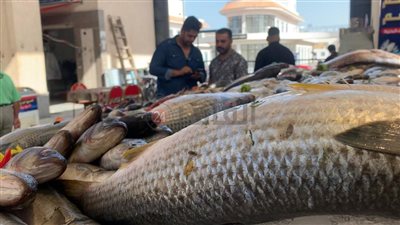 أسعار الأسماك اليوم السبت 8 أبريل 2023