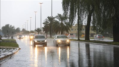طقس كفر الشيخ اليوم.. نشاط للرياح وفرص لسقوط الأمطار   
