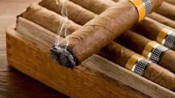 أسعار السيجار 