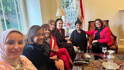 وزيرة الهجرة تعقد لقاءات مع مصريين حققوا نجاحًا بأمريكا.. واختيار سفيرة الوزارة للقدرات الخاصة