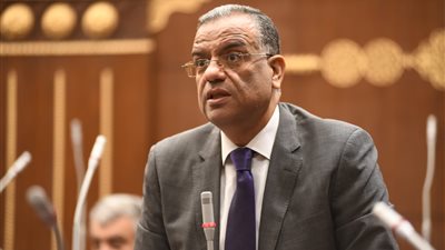 رئيس الهيئة البرلمانية للجبهة الوطنية بالشيوخ: نعمل برؤية مؤسسية.. وواثقون في استمرار النجاح الانتخابي