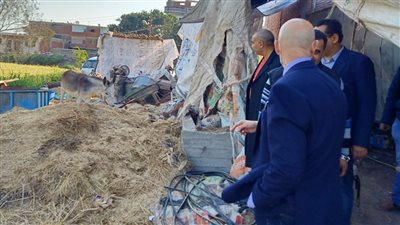 الصحة تُغلق 3 منشآت وضبط وإعدام 10 أطنان أغذية في حملة بالشرقية