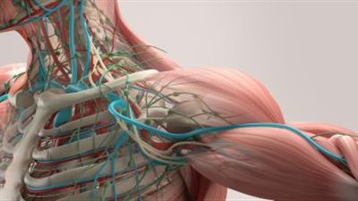 مهندسون أستراليون يصممون روبوتًا للطباعة ثلاثية الأبعاد داخل الجسم