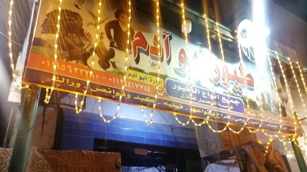 طيور أبو آدم 