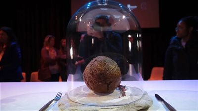 خايفين ياكلوها.. علماء يبتكرون كرات لحم من ماموث يعود لـ 30 ألف عام