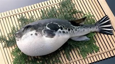 اشترته أونلاين.. وفاة سيدة عجوز بسبب أكلة سمك