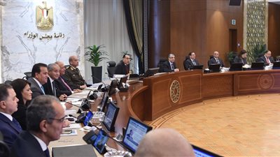 الحكومة: زيادة دعم السلع التموينية بنسبة 20% ودعم المواد البترولية بـ 24% 