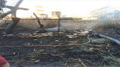 السيطرة على حريق بحظيرة مواشي في المنوفية