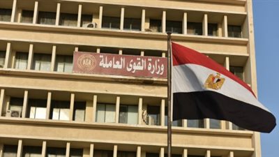 برواتب مجزية وتأمين اجتماعي.. القوى العاملة تعلن توافر 1845 فرص عمل للشباب | بث مباشر 