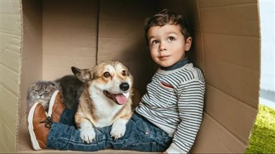 دراسة: الكلاب والقطط الأليفة تقلل من خطر الإصابة بحساسية الطعام لدى الأطفال