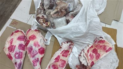 بالتزامن مع رمضان.. ضبط 6 أطنان لحوم غير صالحة للاستهلاك الآدمي بالمنوفية 