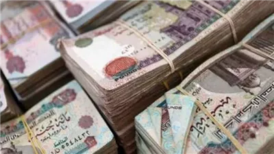 خلال عام واحد.. التضامن: 13.305 مليار جنيه تمويل وارد لمنظمات المجتمع المدني في مصر 