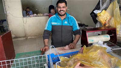 الفراخ البيضاء بـ76 جنيها والبلدي بـ115.. ارتفاع أسعار الدواجن في الأقصر 