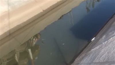 كانت بتغسل الملابس.. مصرع ربة منزل غرقا بترعة في سيدي سالم بكفر الشيخ | بث مباشر