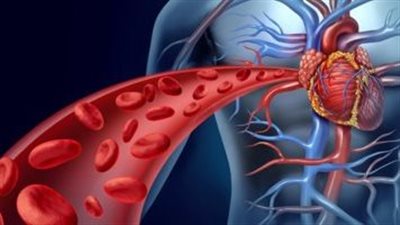 بعد وفاة عروسة المنيا.. تعرف على أعراض الهبوط الحاد في الدورة الدموية