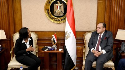وزير الصناعة يبحث مع وفد البنك الإفريقي للتصدير استضافة القاهرة معرض التجارة البينية 